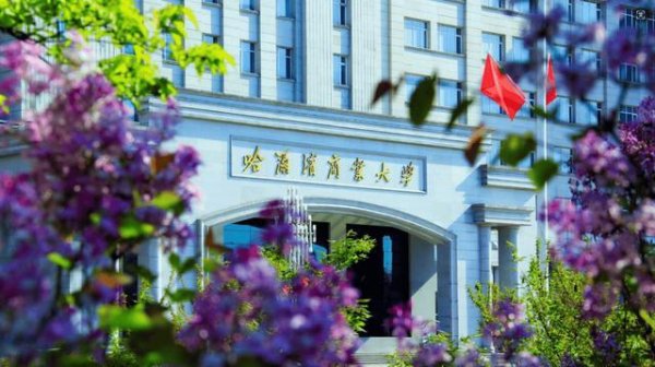 百家乐2026世界杯中国官方下载 黑龙江27所高校排名逶迤！哈商大跨越八一农大，东北石油远超佳大