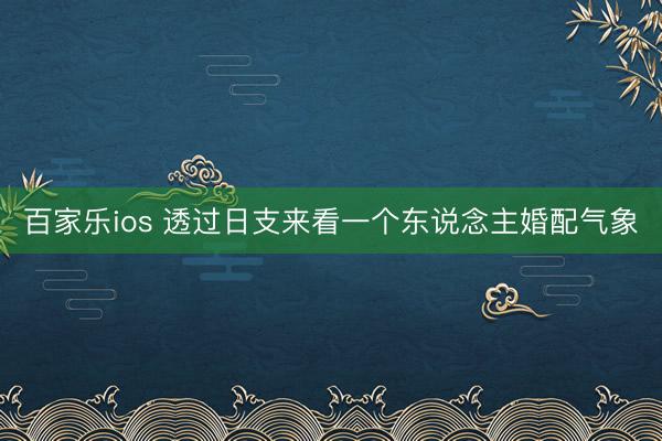 百家乐ios 透过日支来看一个东说念主婚配气象
