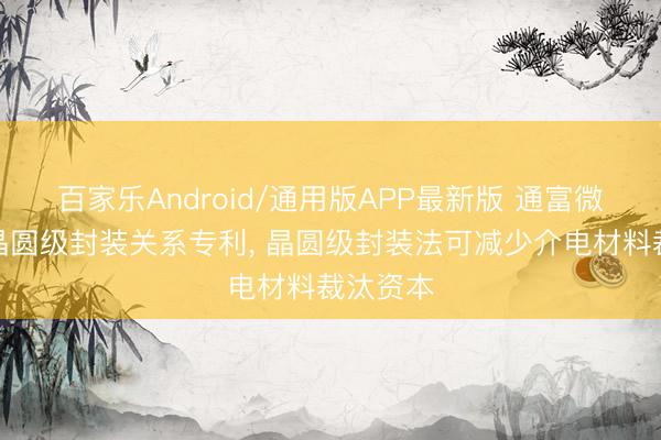 百家乐Android/通用版APP最新版 通富微电获得晶圆级封装关系专利， 晶圆级封装法可减少介电材料裁汰资本